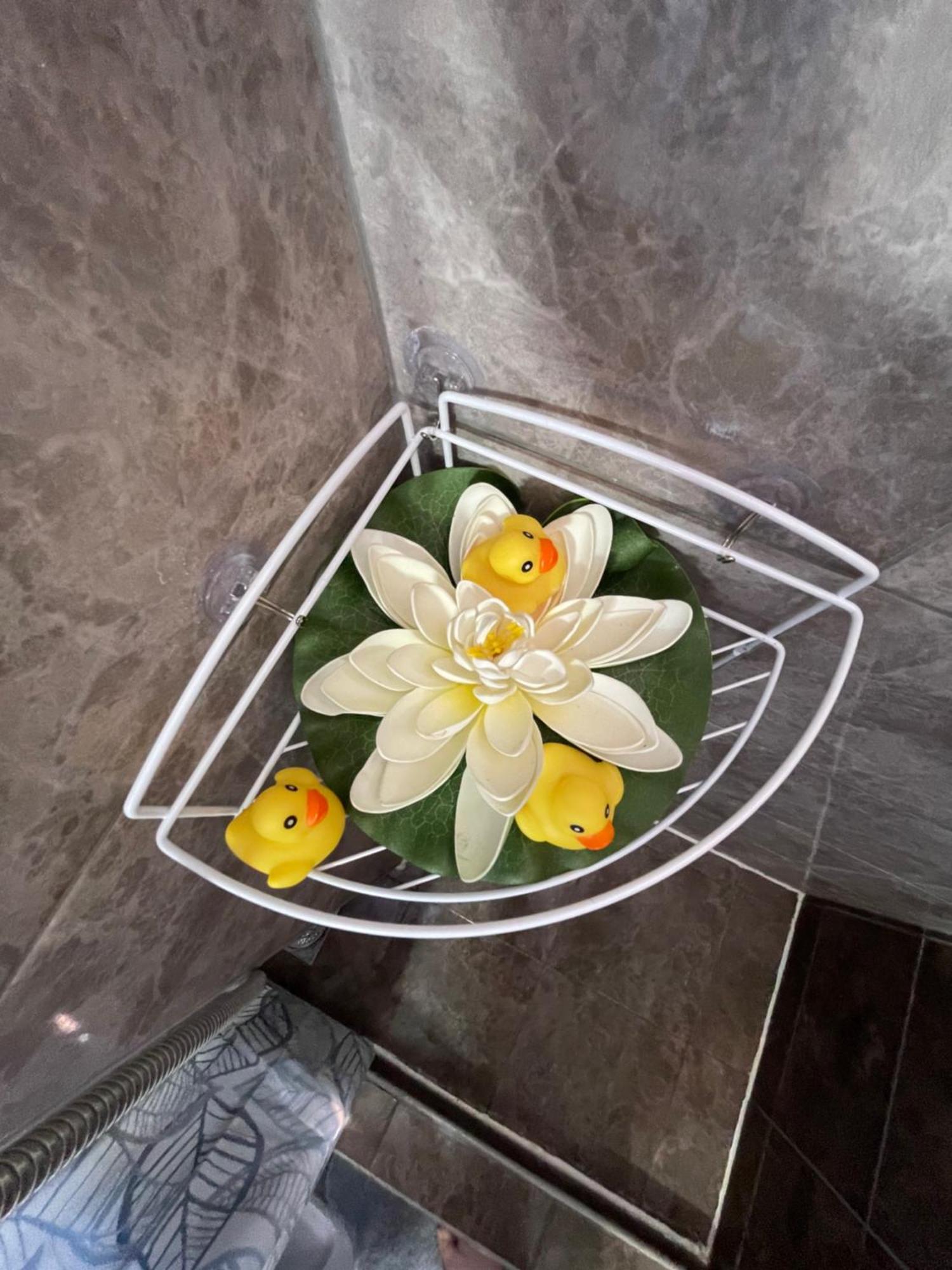 Apartment Maki Котор Экстерьер фото